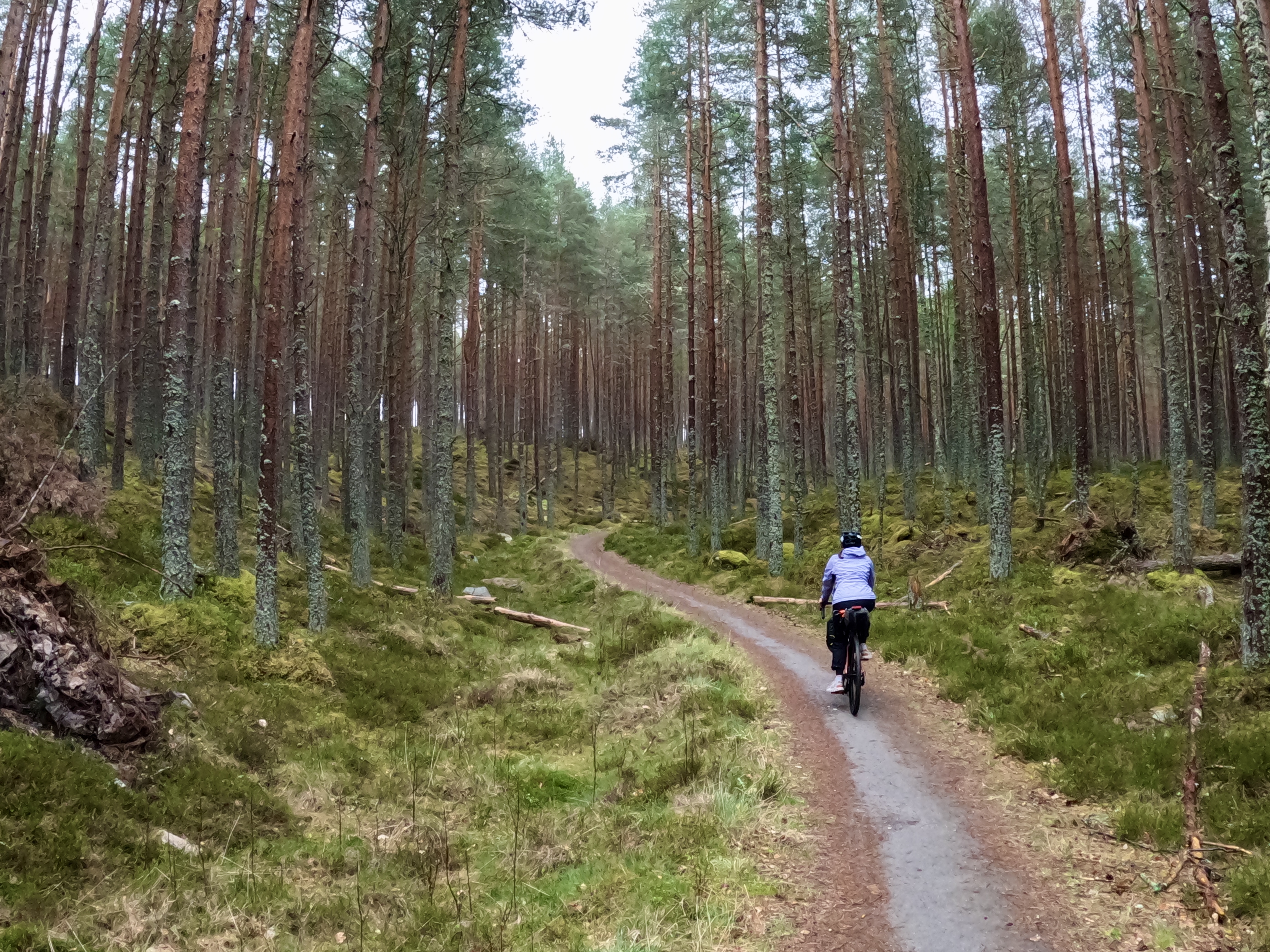 Bikepacking around the Cairngorms
